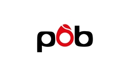 Didatto srl POB